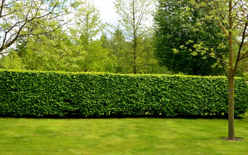 Hedge Care