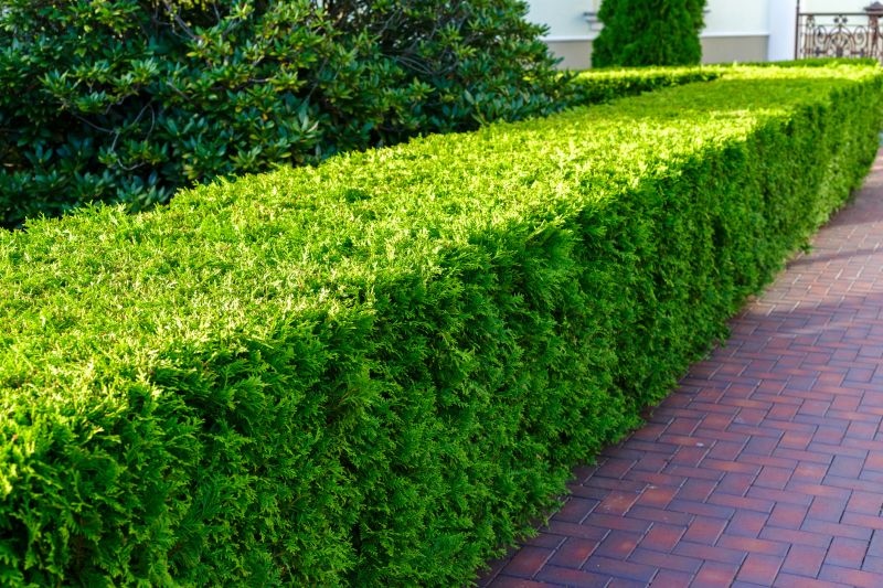 Hedge Care