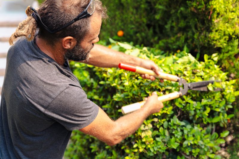 Hedge Care