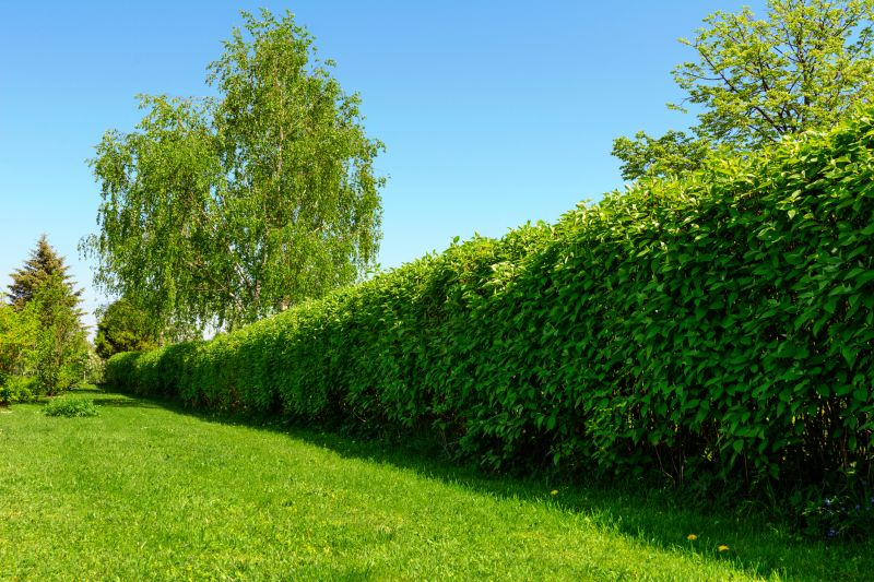 Hedge Care