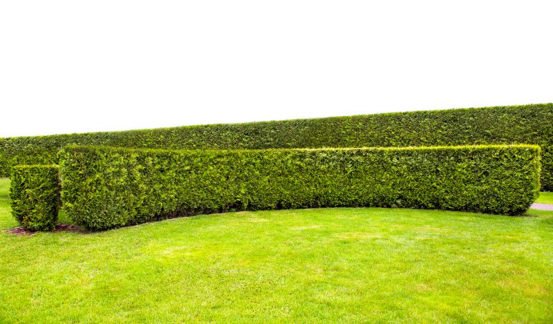 Completed Hedge Shapes